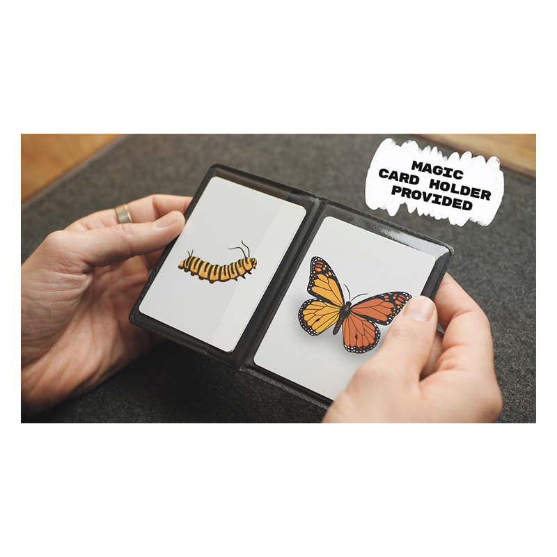 Caterfly par My Magical Project - Transformation de chenille en papillon