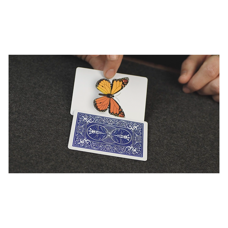 Caterfly Blue : Transformation de Carte Visuelle