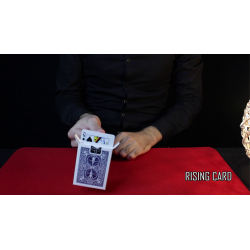 Attraction Red (Gimmicks and Online Instructions)