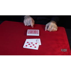 Attraction Red (Gimmicks and Online Instructions)