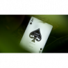 Cherry Casino Sahara Green, jeu de cartes pour collectionneurs
