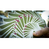 Cherry Casino Sahara Green