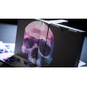 Memento Mori NXS Playing Cards