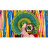 Bicycle Balloon Jungle Playing Cards
