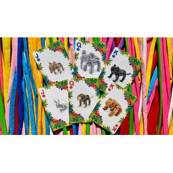 Bicycle Balloon Jungle Playing Cards