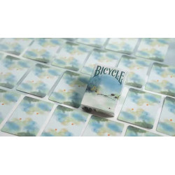Bicycle Seasons (Spring Edition) Playing Cards