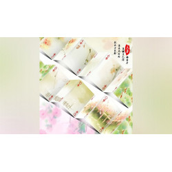 Bicycle Seasons (Summer Edition) Playing Cards