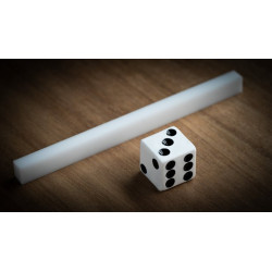 Dicey Dots (Gimmicks and Online Instruction) by DARYL - Trick