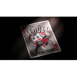 Sequel Classic Edition by Room One Cards