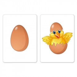 My Egg (Bicycle)