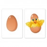 My Egg Bicycle, accessoire pour apparition ou transformation d’œuf
