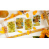 Cartes Van Gogh Edition Spéciale par 52 MUSÉE, détails des œuvres