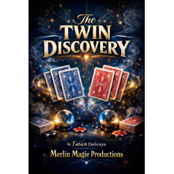 the Twin Discovery Merlin...