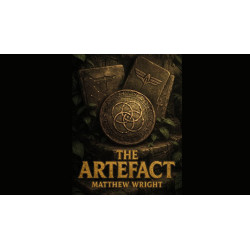The Artefact by Matthew Wright