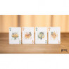 Bicycle Mascot White Marsh Playing Cards, illustration sur l’étui