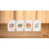 Bicycle Mascot Legendary Turtle Playing Cards, étui de collection