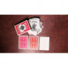 Bicycle Fuchsia Playing Cards by US Playing Card Co, jeu pour cardistry