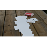 Alpha Deck by Richard Sanders, phase faites comme moi avec le jeu
