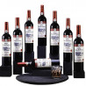 Shiraz Wine Bottles by Tora Magic, set de bouteilles pour magie de scène