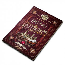 Livre de coloriage magique Harry Potter montrant les pages blanches avant la transformation Merlin Magie