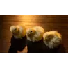 THE FINAL LOAD Baby Chicks by Murphy's Magic, accessoire réaliste sonore