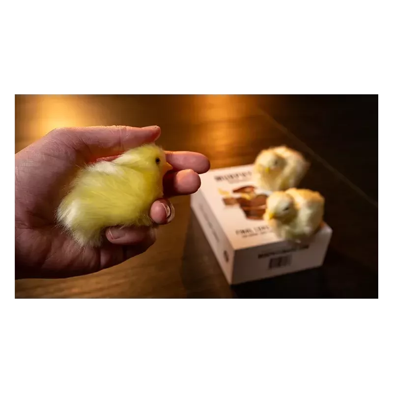 Réplique de poussin lestée pour final de magie professionnelle chez Merlin Magie.