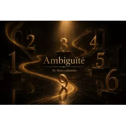 L'Ambiguité de Marc Celiandre | Tour de Petit Paquet Visuel & Malin