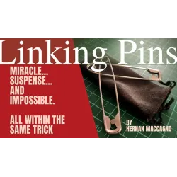 Linking Pins by Hernan Maccagno