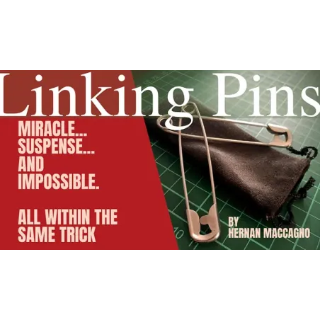 Linking Pins by Hernan Maccagno - photo des deux épingles de sûreté