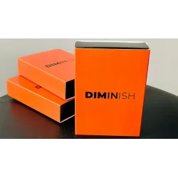 Diminish by Damian Surr