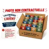 Calendrier de L'avent 24 tours de magie, 24 tours pour Noël