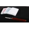 Perfect Stab by Hank, routine de close-up avec carte choisie