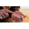The FLY LITE by Marcos Waldemar, tour de magie visuel avec une mouche qui retrouve une carte choisie