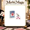 Carte Double Face Bicycle | Jeu de cartes magie et collection