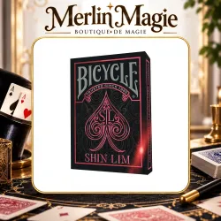 Bicycle - Shin Lim