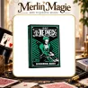 One Piece Roronoa Zoro | Jeu de cartes manga - Merlin Magie