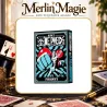 One Piece Franky | Jeu de cartes manga collector - Merlin Magie