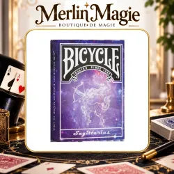 Bicycle SAGITTAIRE