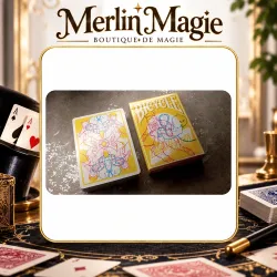 bicycle Parallel Universe Singularity Playing Cards