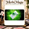 Sirius B V4 | Jeu de cartes Riffle Shuffle