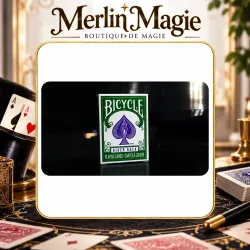 Mini Bicycle Cards (Green)