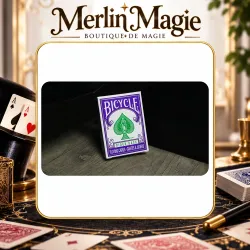 Mini Bicycle Cards (Purple)