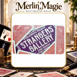 Strangers Gallery 2.0 by John Bannon
