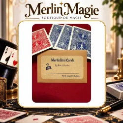 MerlinDini Cards by Marc Celiandre