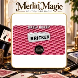 Bricked by Drew Perry