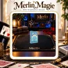 Bicycle Under the Sea | Jeu de cartes marin à découvrir