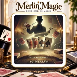 Aces Assembly By merlin