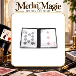 Porte carte optique