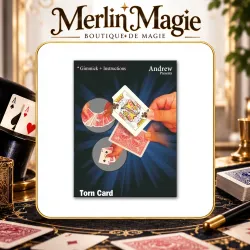Torn Card by Andrew