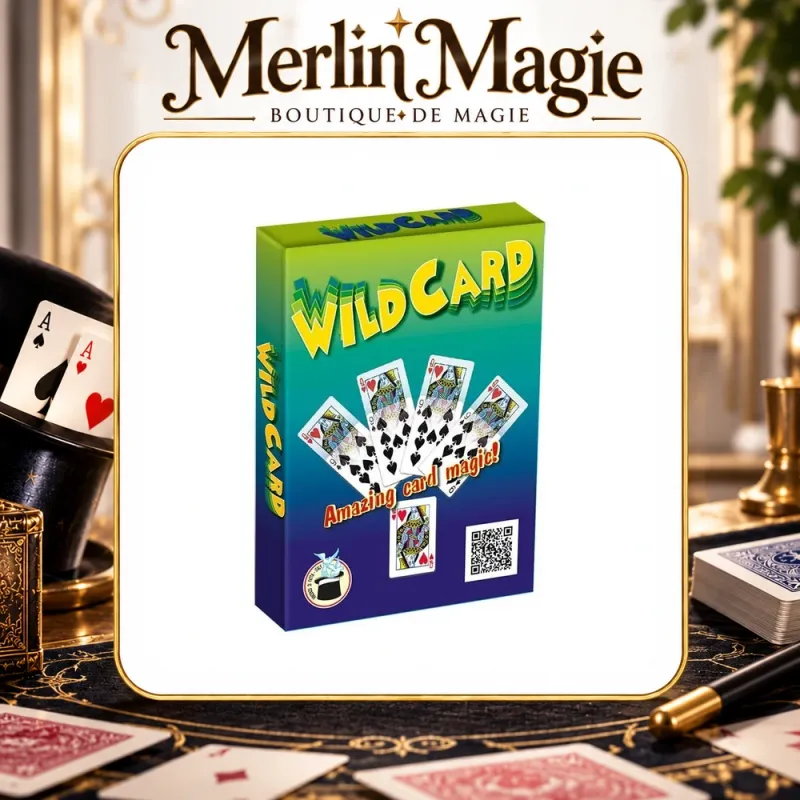 Wild Cards Bicycle | Tour des cartes folles